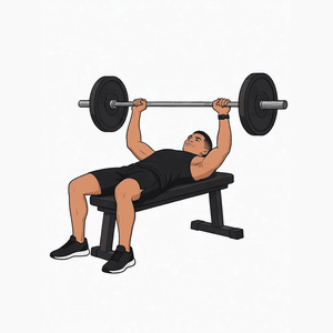 Bench Press demonstration