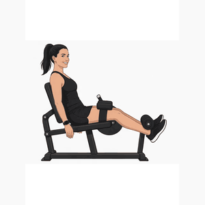 Seated Leg Curl demonstration