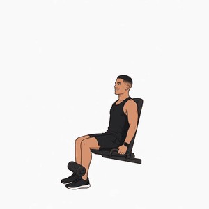 Leg Extension demonstration