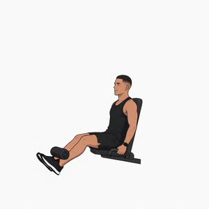 Leg Extension