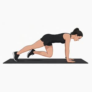 Mountain Climbers
